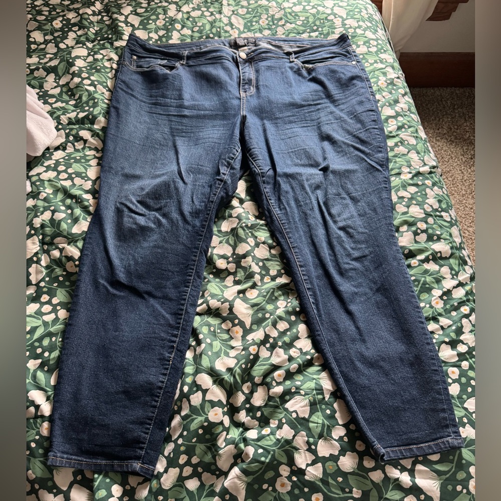 Torrid High-Rise Skinny Jeans 24S